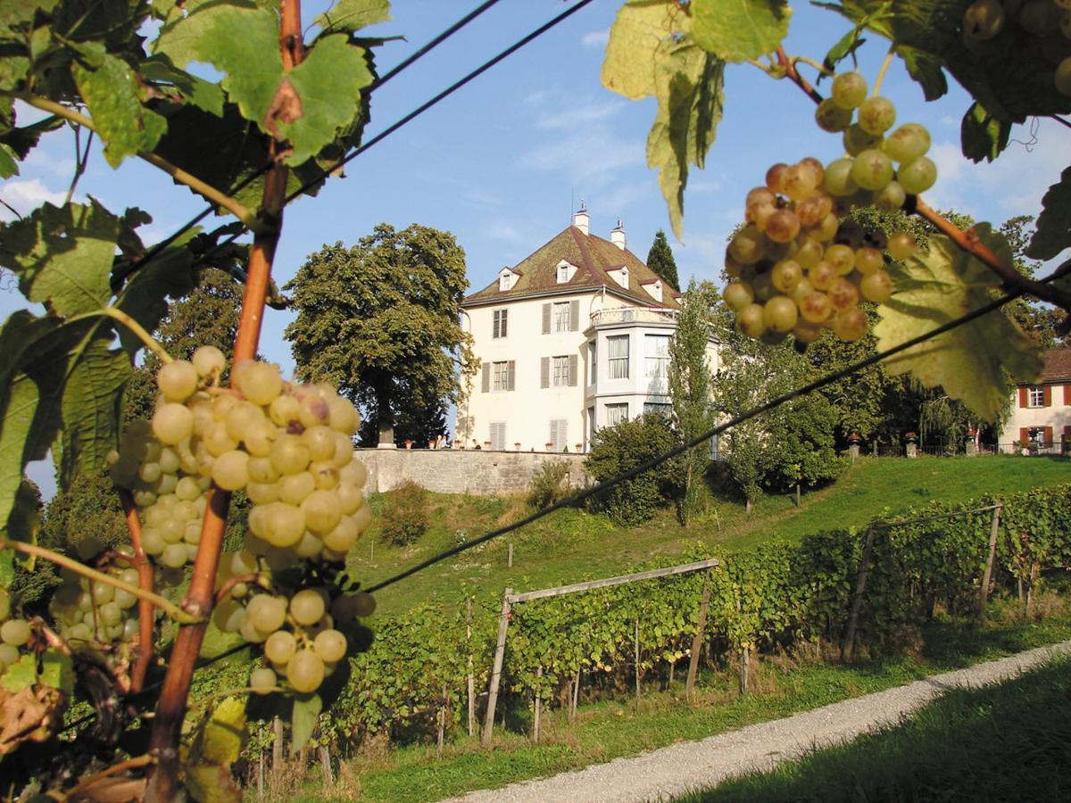 Arenenberg Hotel 3*